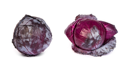 set of Red cabbage on white background.