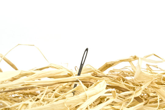 Needle In A Haystack