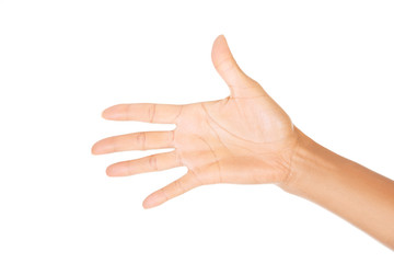 Woman hand (palm)