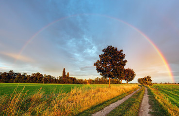 Rainbow over field road