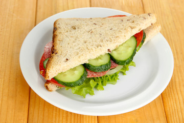 Tasty sandwich with salami sausage and vegetables