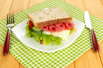 Tasty sandwich with salami sausage and vegetables