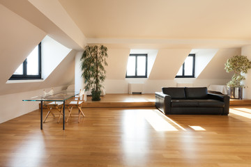 Interior, beautiful loft, hardwood floor, living room