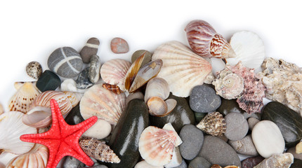 Close up of sea stones and shells