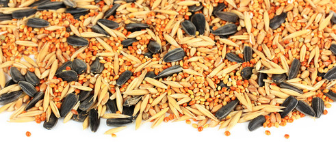 Food for parrots on white background