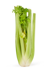 Celery