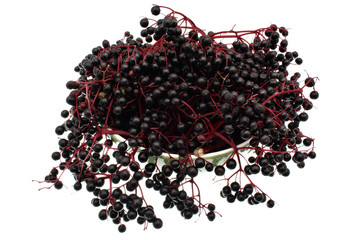 Elderberry