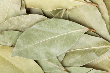 Aromatic bay leaves