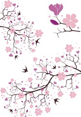 Fototapeta premium Magnolia