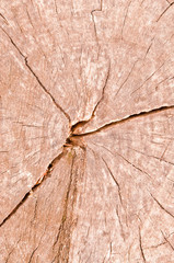 Pattern of wood.