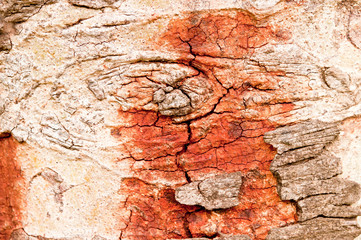 Pattern of wood.