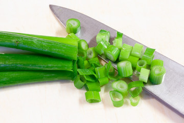 Scallion