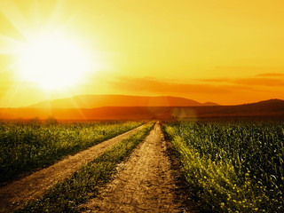 Road to sun. Abstract environmental backgrounds for your design