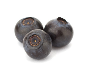 Fresh blueberries isolated on white background