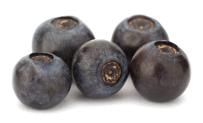 Fresh blueberries isolated on white background