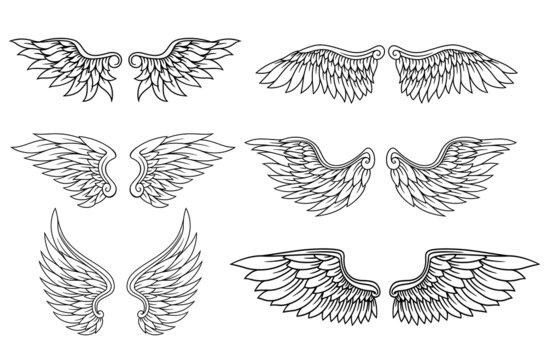 Set of eagle or angel wings