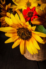 sunflowers in basket