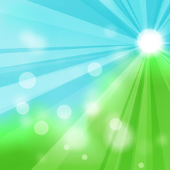 Fototapeta na wymiar Natural green abstract background with the rays of the sun
