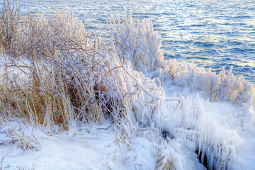 Ice on branches. HDR