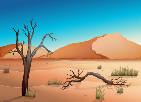 Ecosystem Desert © blueringmedia