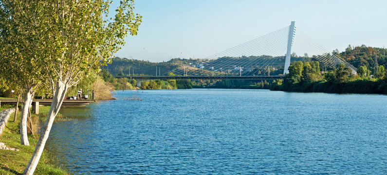 Panoramic View Of The Mondego River