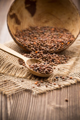 Lentil. © gitusik