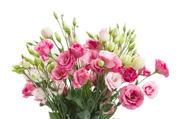Naklejka na ściany i meble bouquet of pink eustoma flowers