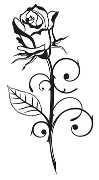 Romantische schwarze Rose mit Schnörkeln. Symbol der Liebe.
