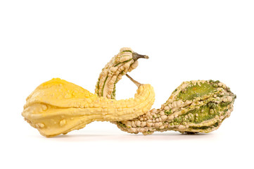 Due zucche ornamentali