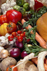 Organic fresh vegetables from the garden.