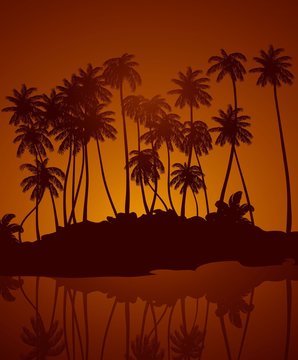 Tropical night. Vector background.
