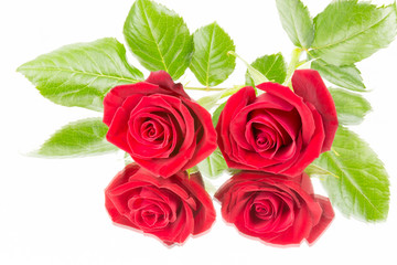 Zwei rote Rosen Spiegel