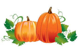 Two pumpkins