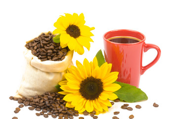 Obraz na płótnie Canvas Kaffeebohnen Sonnenblumen und Tasse 3