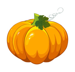 Vector autumn pumpkin