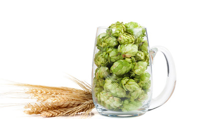 Bierglas mit Hopfendolden