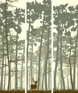 Vertical banners of deer in coniferous wood.