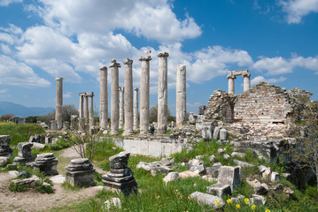 Remains of the ancient city of Afrodisias in Geyre, Turkey
