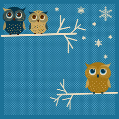 Three cute winter owls - 56480204