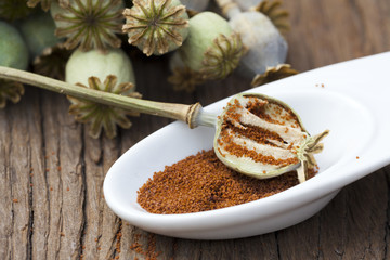 Mohnsamen in Schale mit Mohnkapseln