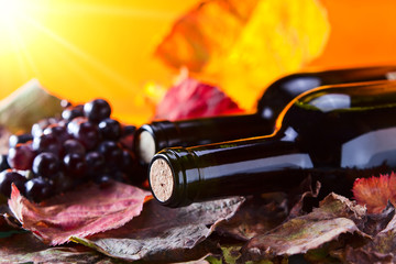 Fototapeta premium bottle with wine
