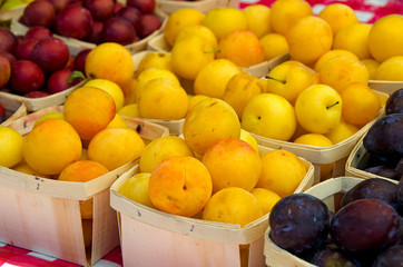 variety of ripe plums at the market
