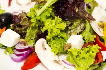 Greek salad on a white background in the restaurant