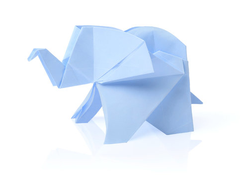 Fototapeta Blue paper elephant