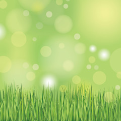 Fototapeta na wymiar Nature background with grass.
