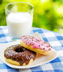 Fresh donuts and glass of milk on nature background