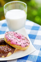 Fresh donuts and glass of milk on nature background