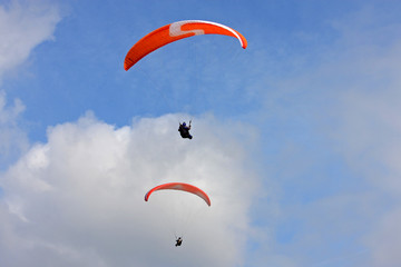 paragliders