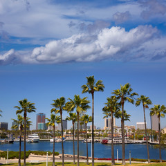 Long Beach California skyline from palm trees of port