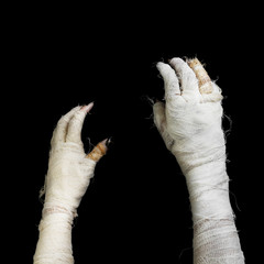 Two hand of mummy